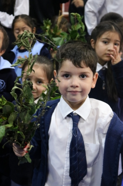 Celebración de Ramos